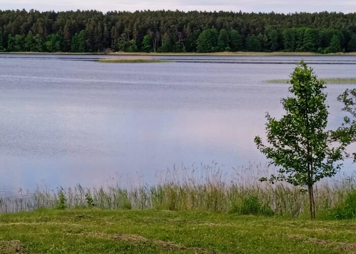 Grajewo ogłoszenia: Sprzedam działkę nad jeziorem Rajgrodzkim w miejscowości Czarna...
